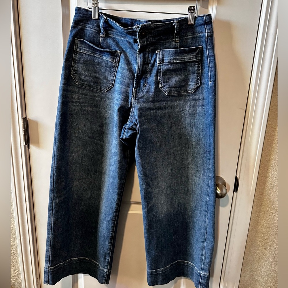 a.n.a High Rise Wide Leg Crop size 8 FANTASTIC condition 24 inseam